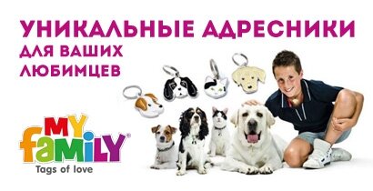 Уникальные адресники для ваших любимцев Уникальные адресники для ваших любимцев