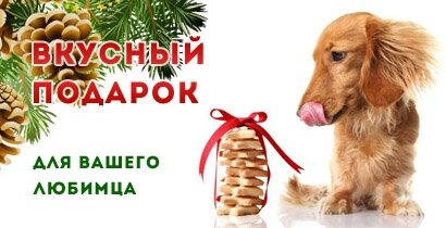 Дарим вкусный подарок для вашего любимца к любому заказу! Дарим вкусный подарок для вашего любимца к любому заказу!