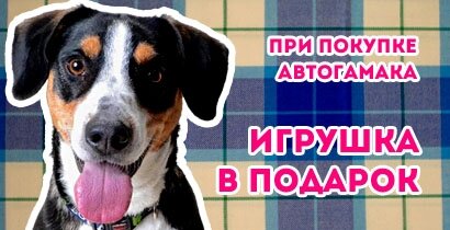 Игрушка в подарок при покупке АВТОГАМАКА Игрушка в подарок при покупке АВТОГАМАКА